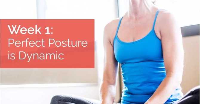 Perfect Posture is Dynamic image